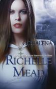 Kniha: Sukuba 6 Odhalená - Richelle Mead