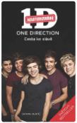 Kniha: One Direction Cesta ke slávě - 1D Neautorizováno - Dany White