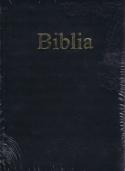 Kniha: Biblia s rytinami v koži - Kolektív