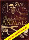 Kniha: Kosti a kostry: Zvířata - autor neuvedený