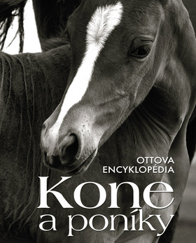 Kniha: Ottova encyklopédia Kone a poníky