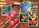 Kniha: Velký atlas odrůd ovoce a révy - neuvedené, Miloslav Richter