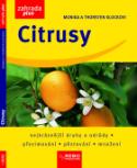Kniha: Citrusy - Nejkrásnější druhy a odrůdy, přezimování, pěstování, množení - Monika Klocková, Thorsten Klock