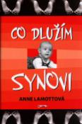 Kniha: Co dlužím synovi - Anne Lamottová