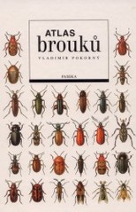 Kniha: Atlas brouků - Vladimír Pokorný