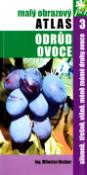 Kniha: Slivoně, třešně, višně, méně známe druhy ovoce - 3. - Miloslav Richter