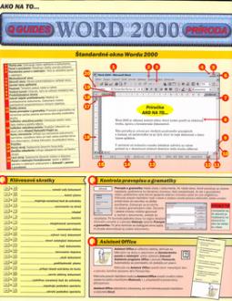 Kniha: Word 2000 - Kolektív