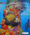 Kniha: Nejkrásnější potápěčská místa v Karibiku - Lawson Wood