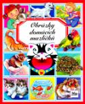 Kniha: Obrázky domácích mazlíčků - Beatrice Quinio, David Collet