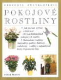 Kniha: Pokojové rostliny - Jak poznat, vybrat a vypěstovat 350 nejoblíbenějších pokojových rostlin.... - Peter McHoy