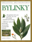 Kniha: Bylinky - Kompletní průvodce k určení více než 150 druhů populárních bylinek... - Andi Clevely