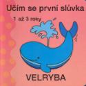 Kniha: Učíme se první slůvka-Velryba