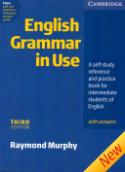 Kniha: English Grammar in Use 3ed W/A - Raymond Murphy