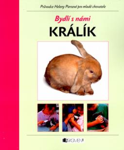 Kniha: Králík - Průvodce Heleny Piersové pro mladé chovatele - Helena Piersová