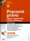 Kniha: Pracovní právo - zákon, komentáře, vzory, judikatura - Milan Galvas