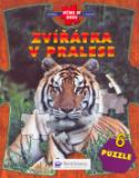Kniha: Zvířátka v pralese - Prales je úžasné prostředí plné bujných rostlin a zajímavých zvířat.