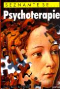 Kniha: Psychoterapie - Nigel C. Benson, Borin Van Loon, Benson Nigel C.