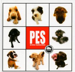 Kniha: Pes - Carol Cooperová