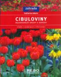 Kniha: Cibuloviny - Nejkrásnější druhy a odrůdy - Katharina Adams, neuvedené