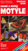 Kniha: Denné a nočné motýle - Helga Hofmannová