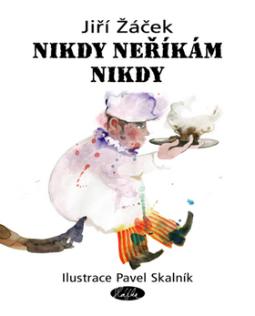 Kniha: Nikdy neříkám nikdy - Jiří Žáček