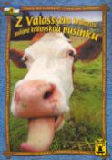 Kniha: Pohlednice Z Valašského království - pohlednice jako kráva - Tomáš Harabiš