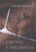 Kniha: Paprsky v nekonečnu - Zdeněk Štěpánek
