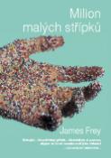 Kniha: Milion malých střípků - James Frey