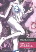 Kniha: Spodní zrcadla - 1987-2007 - David Jan Žák