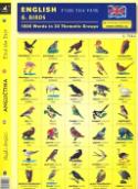 Kniha: English - Find the Pair 1. Birds - Antonín Šplíchal, neuvedené