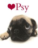 Kniha: Psy - Helen Exley, neuvedené, Pam Brownová