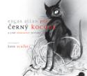 Kniha: Černý kocour - A jiné hororové povídky - Edgar Allan Poe, Luis Scafati