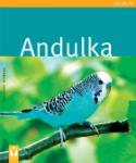 Kniha: Andulka - Hildegard Niemann