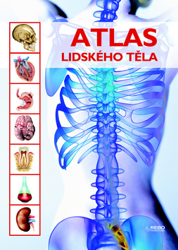 Kniha: Atlas lidského těla - Jordi Vigué, Emilio M. Orte