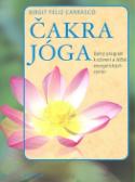 Kniha: Čakra jóga - Úplný program k oživení a léčbě energetických center - Birgit Feliz Carrasco
