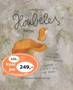 Kniha: Houbeles pictus - Petr Maděra