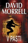 Kniha: V pasti - David Morrell