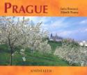 Kniha: Prague - Soňa Thomová, Zdeněk Thoma