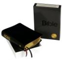 Kniha: Bible Překlad 21. století - Překlad 21. století