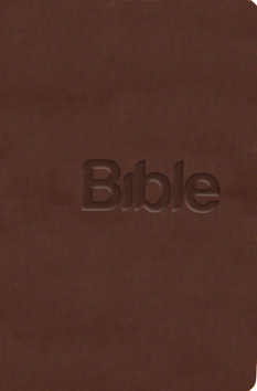 Kniha: Bible Překlad 21. století