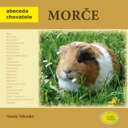 Kniha: Morče - Nataša Velenská