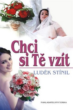 Kniha: Chci si tě vzít - Luděk Stínil