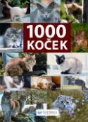 Kniha: 1000 koček - Kolektív