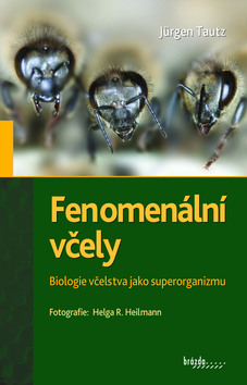Kniha: Fenomenální včely - Biologie včelstva jako superorganizmu - Jürgen Tautz