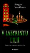 Kniha: V labyrintu lilií - Barokní smyslnost a vražedný plán - Sargon Youkhana