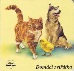 Kniha: Domácí zvířátka - autor neuvedený