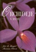 Kniha: Orchideje v bytě - Jiří R. Haager