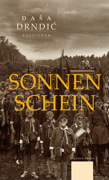 Kniha: Sonnen schein - Daša Drndić