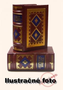 Kniha: Zázrak modlitby - M. Martišková