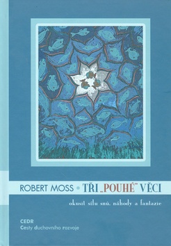 Kniha: Tři pouhé věci - okusit sílu snů, náhody a fantazie - Robert Moss